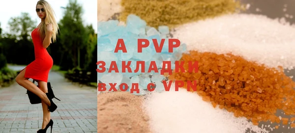 PSILOCYBIN Белокуриха