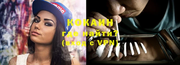 шишки Богородицк