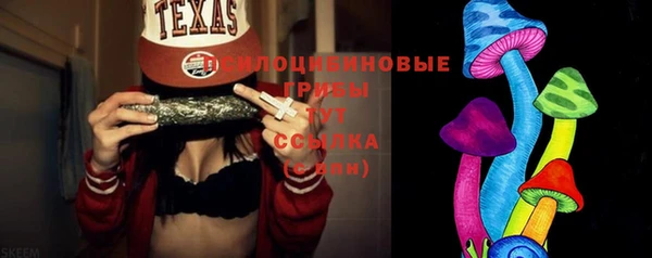 шишки Богородицк