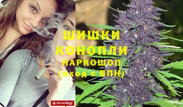 шишки Богородицк