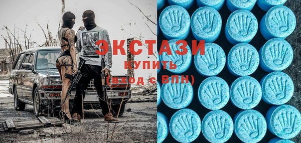 шишки Богородицк