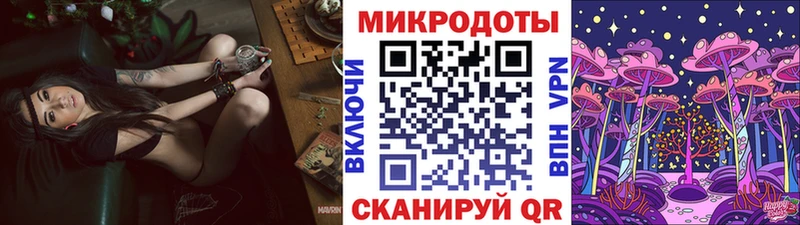 Псилоцибиновые грибы Psilocybine cubensis  Будённовск 