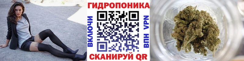 Каннабис план  Будённовск 